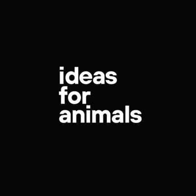Ideas For Animals